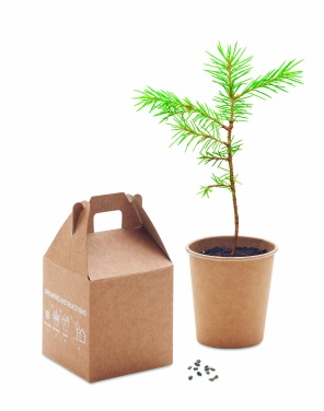 Logotrade Geschäftsgeschenke das Foto: Kiefernsamen-Set