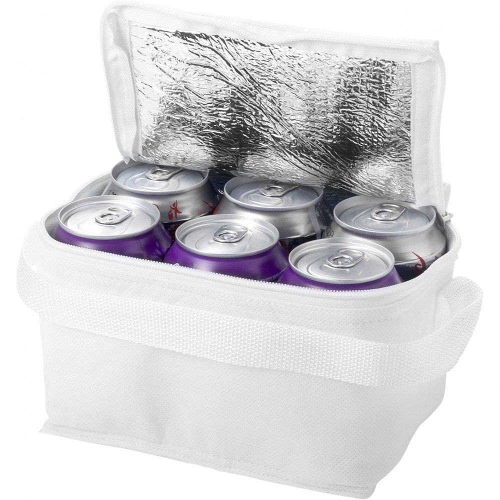 Logo trade promotional merchandise image of: Spectrum 6-can cooler bag 4L