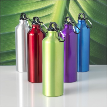 Logotrade promotional giveaway picture of: Oregon 770 ml aluminium water bottle with carabiner