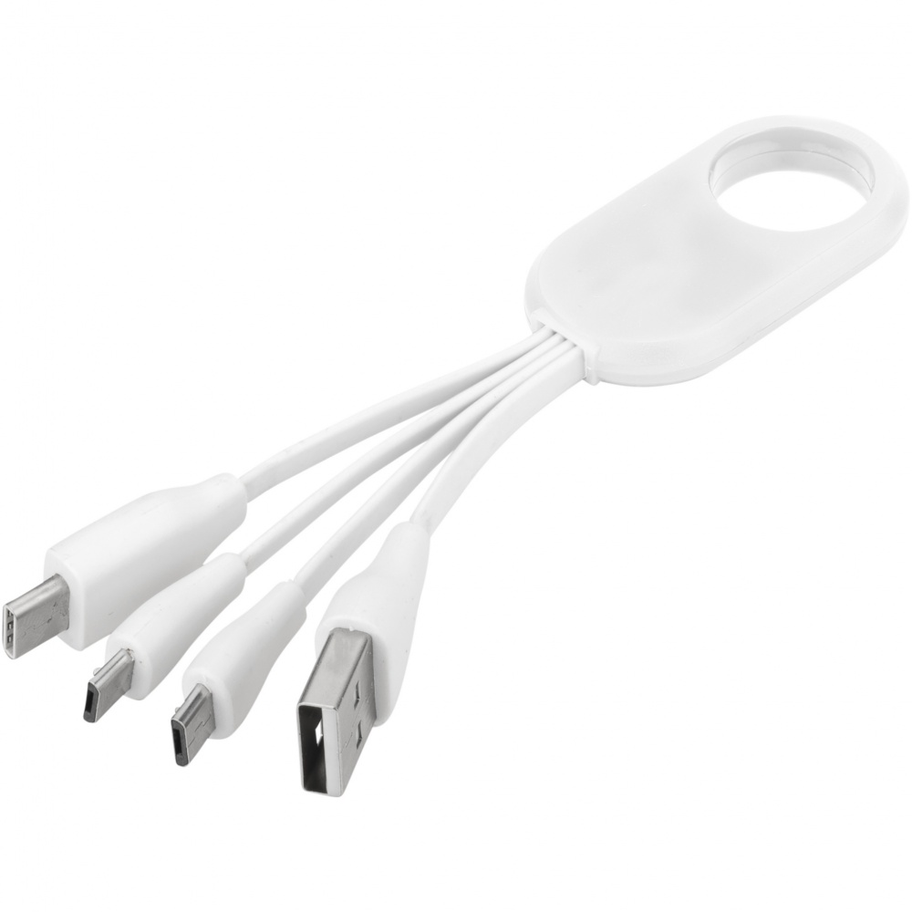 Logotrade promotional giveaways photo of: Troup 4-in-1 charging cable with type-C tip