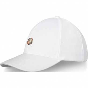 Logotrade corporate gift picture of: Drake 6 panel trucker cap