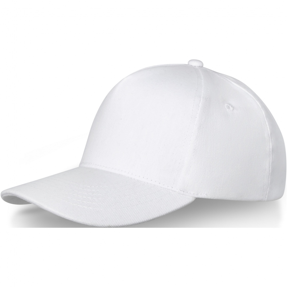 Logo trade corporate gift photo of: Doyle 5 panel cap