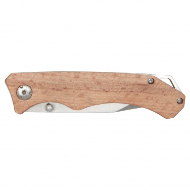 Logotrade advertising product image of: Dave pocket knife with belt clip