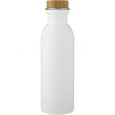 Logo trade promotional merchandise picture of: Kalix 650 ml stainless steel water bottle
