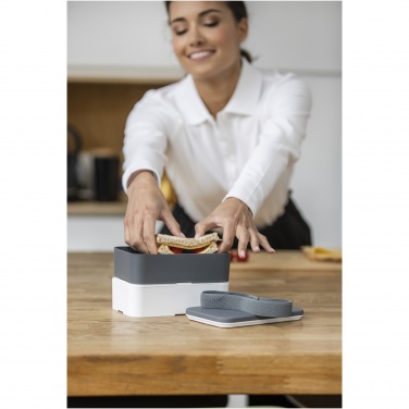 Logo trade promotional items image of: MIYO double layer lunch box