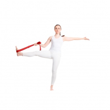 Logo trade promotional gift photo of: Virabha RPET yoga strap