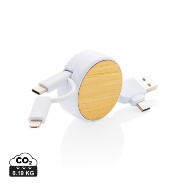 Logo trade promotional merchandise photo of: RCS recycled plastic Ontario 6-in-1 retractable cable