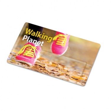 Logotrade promotional product image of: Creditcard. USB flash 4GB