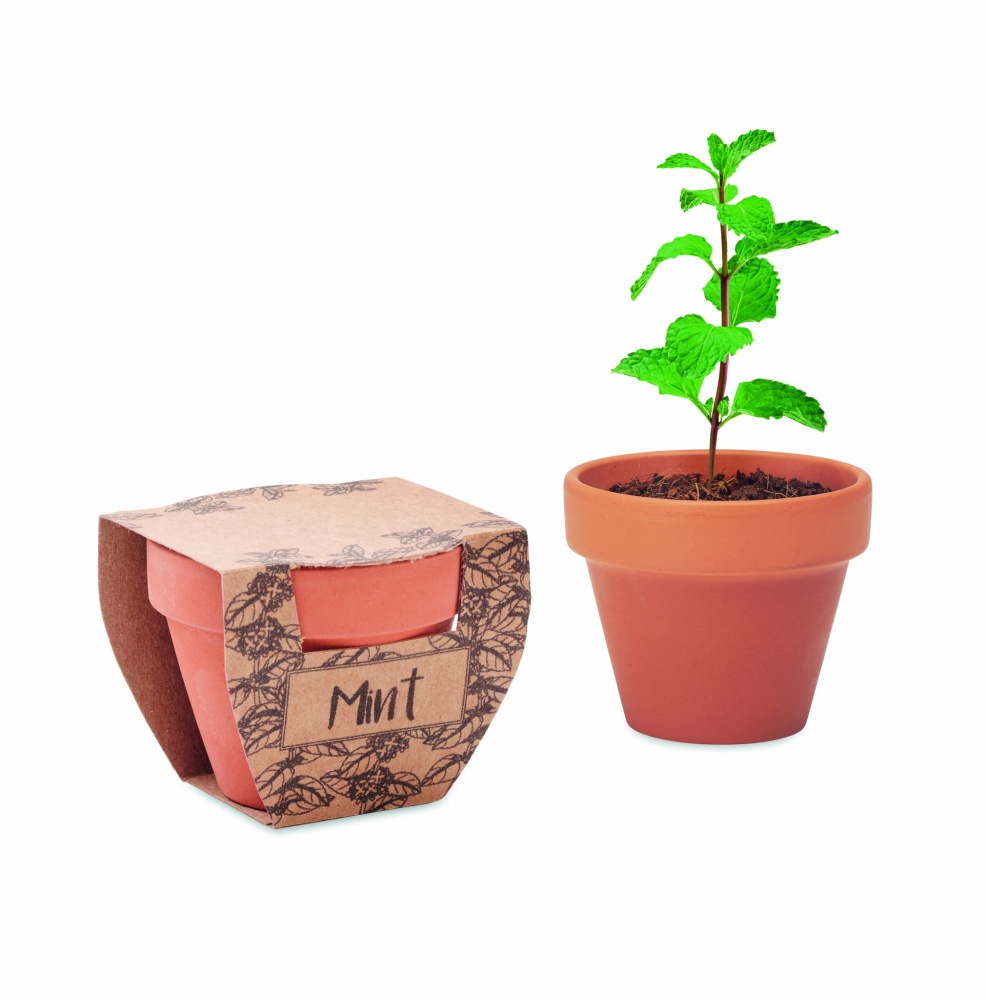 Logotrade corporate gift image of: Terracotta pot mint seeds