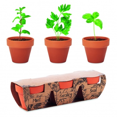 Logotrade promotional giveaways photo of: Terracotta 3 herb pot set