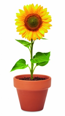 Logotrade promotional merchandise photo of: Terracotta pot 'sunflower'