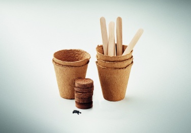 Logotrade promotional merchandise image of: Flowers growing kit