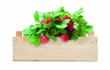 Logo trade promotional gift photo of: Strawberry kit in wooden crate