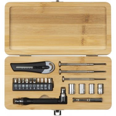 Logo trade promotional gifts picture of: 22-piece tool set BERINGEN