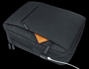 Logotrade promotional giveaway picture of: Laptop backpack 123912500