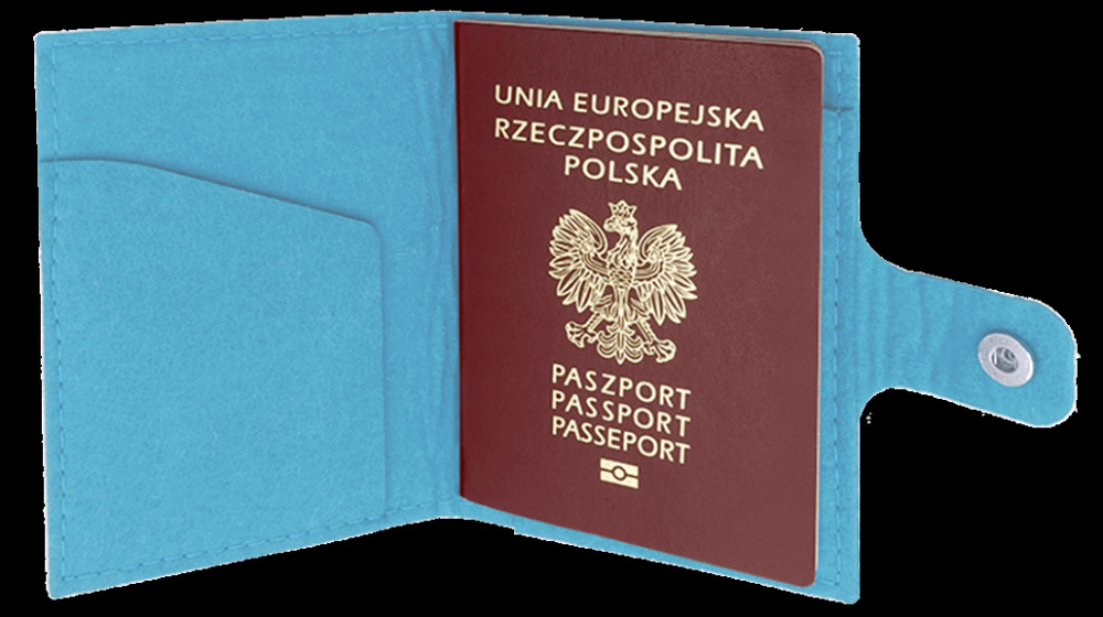 Logotrade advertising products photo of: Passport case 84106200