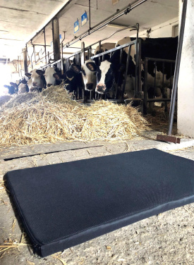 Logotrade promotional merchandise picture of: Disinfection mat 100x60x3cm 1372087