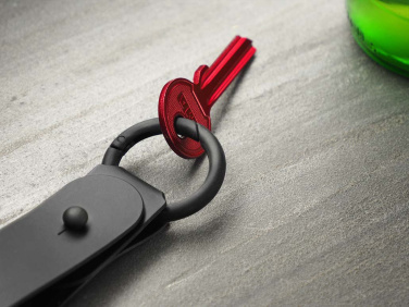 Logo trade corporate gifts image of: Keyring 1709094