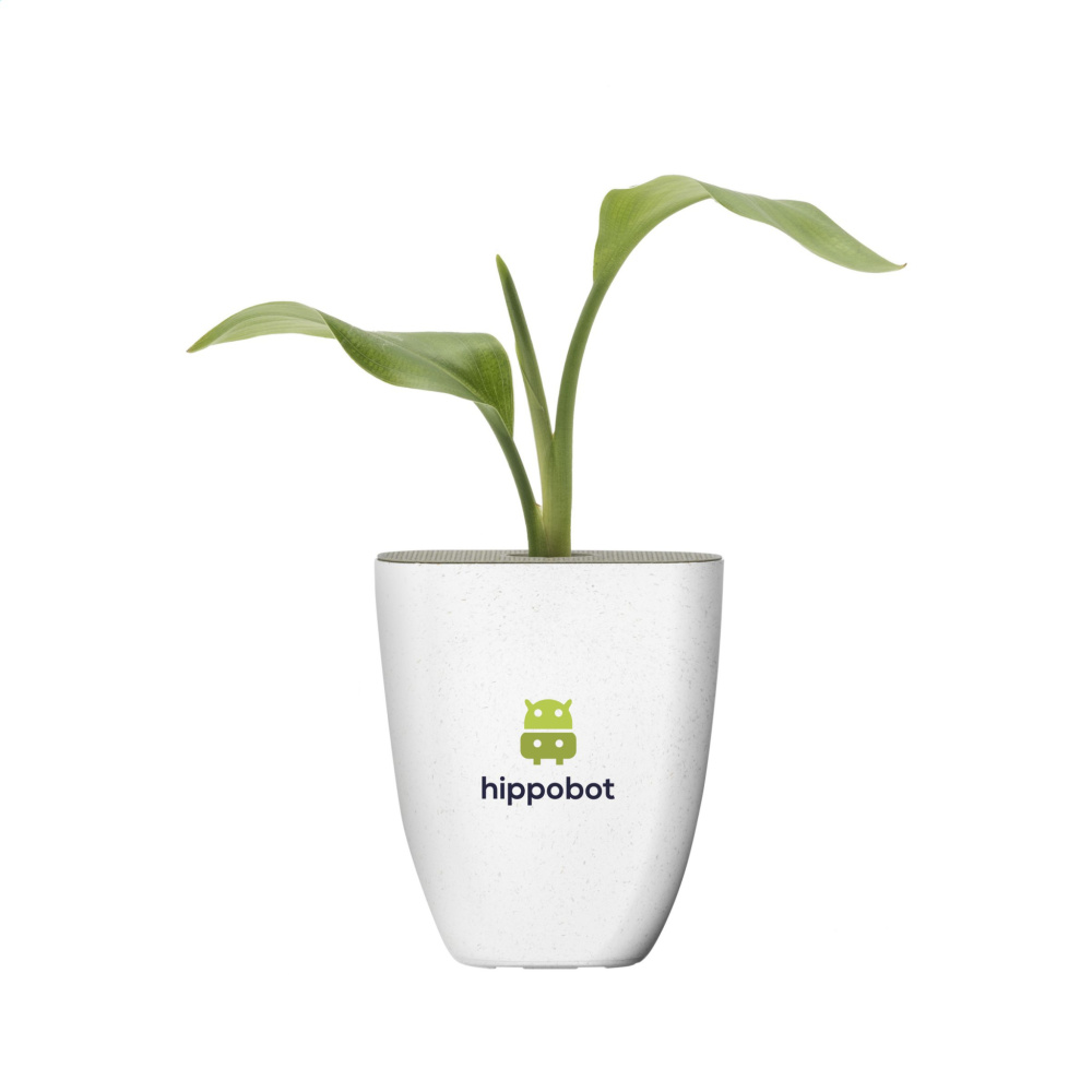 Logo trade promotional product photo of: Treemore Letterbox Trees Bird of Paradise plant