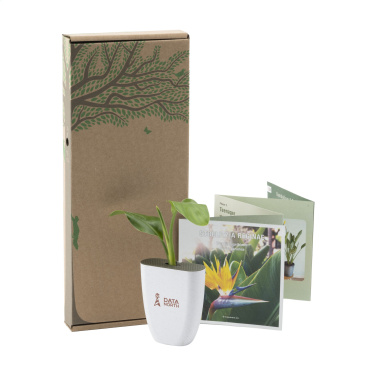 Logo trade promotional giveaways image of: Treemore Letterbox Trees Bird of Paradise plant