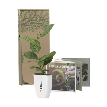 Logo trade advertising products picture of: Treemore Letterbox Trees Tea plant