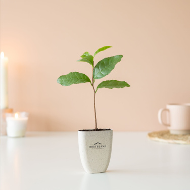 Logotrade promotional merchandise image of: Treemore Letterbox Trees Tea plant