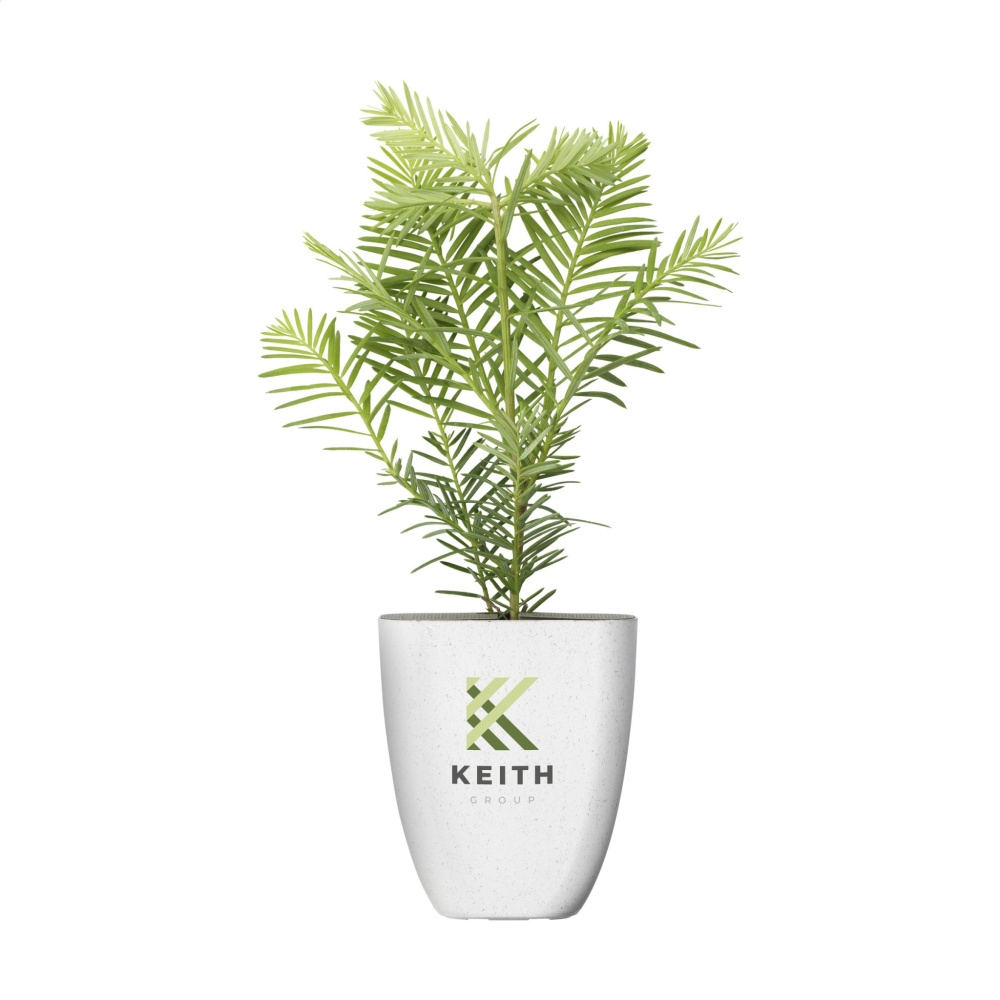 Logo trade promotional product photo of: Treemore Letterbox Trees Giant Sequoia