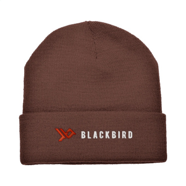 Logotrade promotional giveaway image of: Antarctica hat