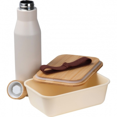 Logotrade promotional merchandise photo of: Set Lunchbox with stainless steel bottle Toronto