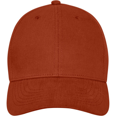 Logotrade promotional merchandise image of: Davis 6 panel cap