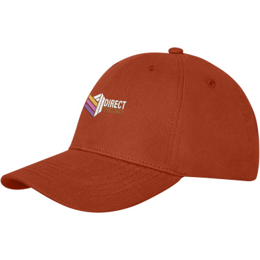 Logotrade promotional giveaway picture of: Davis 6 panel cap