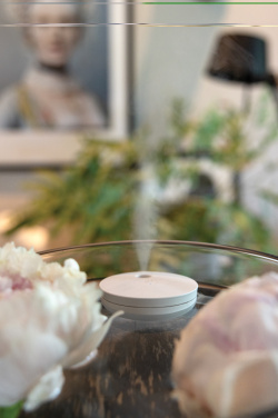 Logo trade business gifts image of: Breevia RCS rplasic re-chargeable floating humidifier