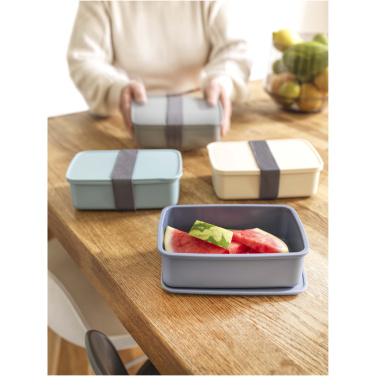 Logo trade promotional giveaway photo of: Dovi 800 ml lunch box