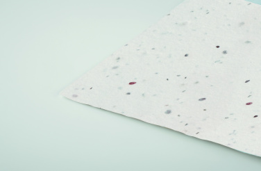 Logo trade promotional gifts image of: Wildflower seed business card.