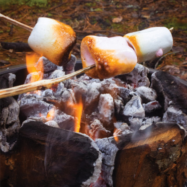 Logo trade promotional items picture of: Eco Grill L