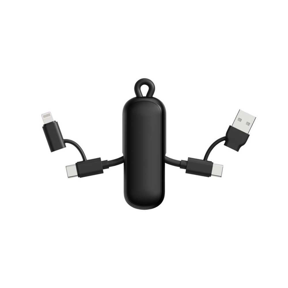 Logotrade promotional giveaways photo of: Urban Vitamin Dublin 100W 4 -in-1 keychain cable