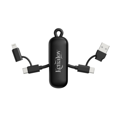 Logo trade business gifts image of: Urban Vitamin Dublin 100W 4 -in-1 keychain cable