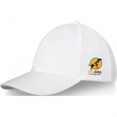 Logotrade reklaamkingid pilt: Drake 6 paneeliga veoautokork