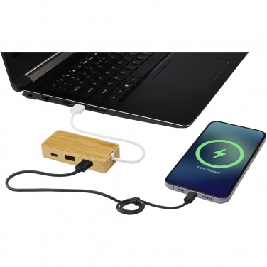 Logotrade reklaamtoote foto: Tapase bambusest USB-jaotur