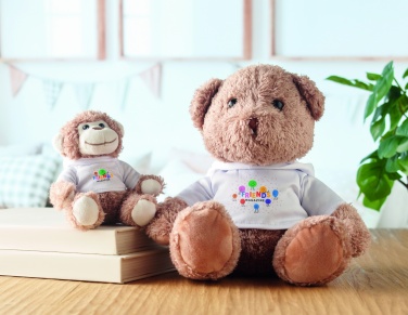 Logotrade reklaamkingitused pilt: Teddy Plüüsist ahv