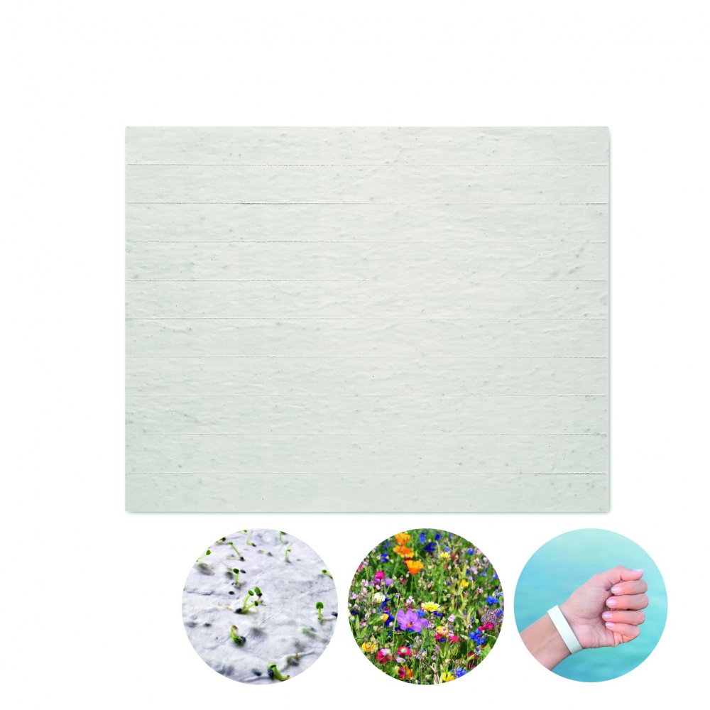 Logo trade meened foto: Seemnepaberist leht randmepaeltega