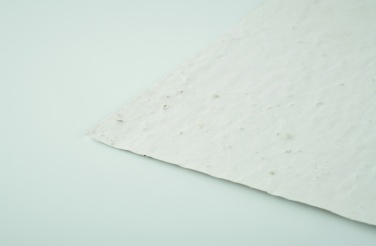 Logo trade firmakingituse pilt: A5 metsalilleseemne paberileht