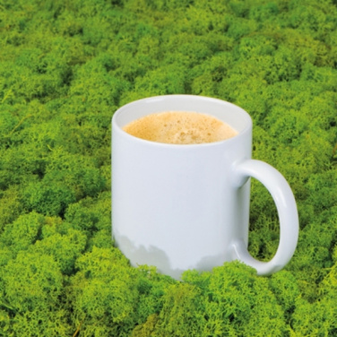 Logo trade reklaamkingituse pilt: Keraamiline kruus MONZA 300 ml