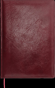 Logo trade reklaamkingituse pilt: Kalendermärkmik 645131