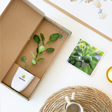 Logotrade meened pilt: Treemore Letterbox Trees Kaffir Lemon