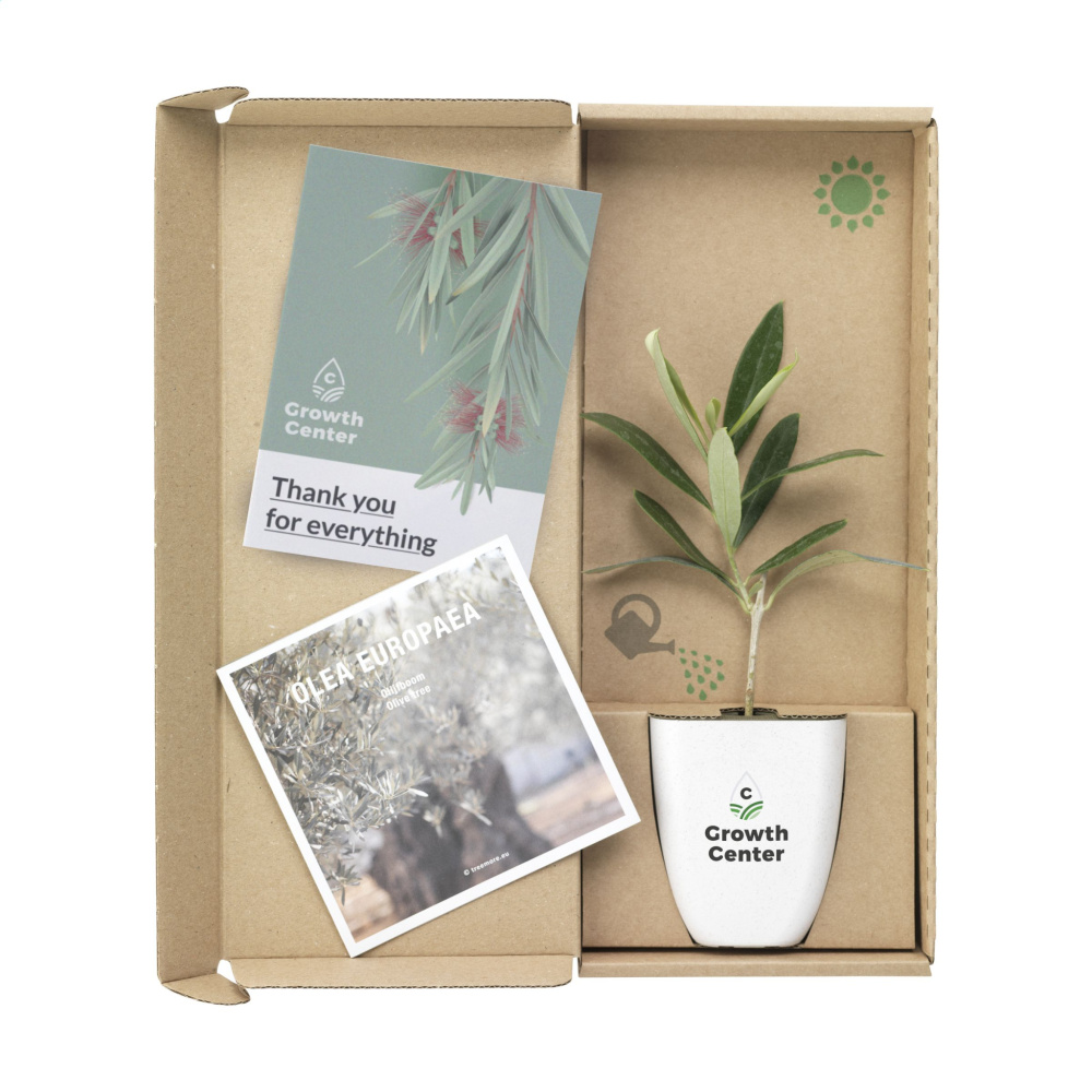 Logotrade reklaamkingituse foto: Treemore Letterbox Trees Olive