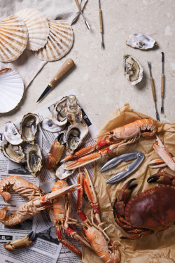 Logo trade firmakingitused foto: VINGA "Story of Seafood" mereannikomplekt