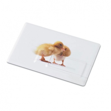 Logo trade mainoslahja ja liikelahja tuotekuva: Luottokortti. USB flash 32GB