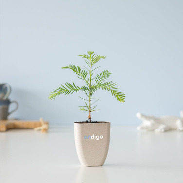 Logo trade mainoslahjat ja liikelahjat kuva: Treemore Letterbox Trees Giant Sequoia