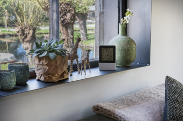 Logotrade verslo dovanos nuotrauka: Vidaus / lauko oro stotis